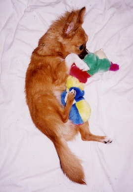 2004.7.18.mio4.jpg (44140 バイト)