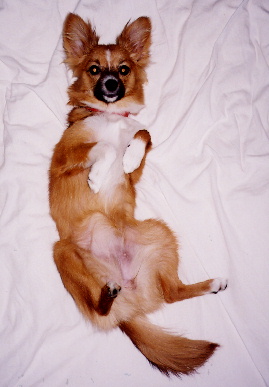 2004.7.18.mio5.jpg (42655 バイト)