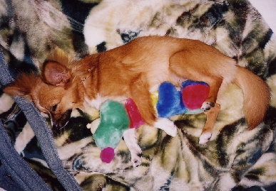2004.7.18.mio7.jpg (74391 バイト)