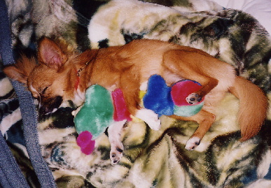 2004.7.18.mio8.jpg (75412 バイト)