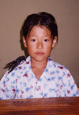 2004.7.27.mikan3.jpg (60054 oCg)