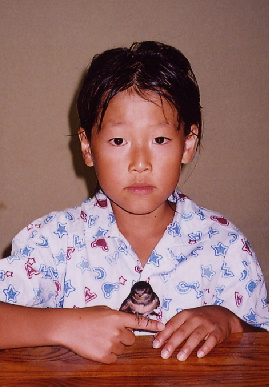 2004.7.27.mikan4.jpg (57870 oCg)