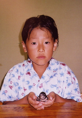 2004.7.27.mikan5.jpg (57705 oCg)