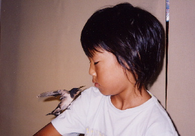 2004.7.29.mikan1.jpg (41613 oCg)