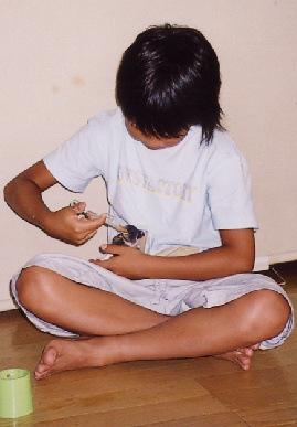2004.7.29.mikan3.jpg (45152 oCg)
