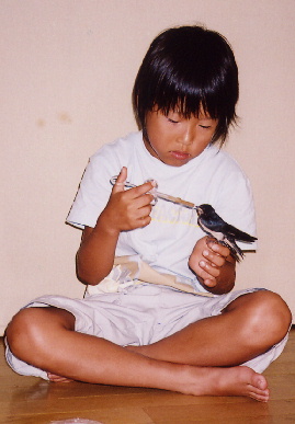2004.7.29.mikan4.jpg (45399 oCg)