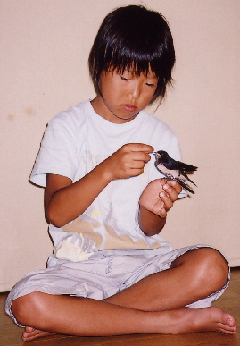 2004.7.29.mikan5.jpg (46827 oCg)