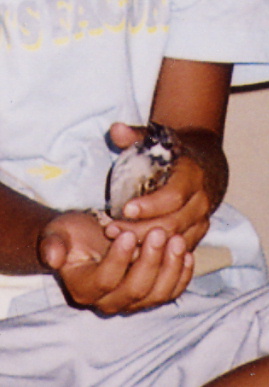 2004.7.29.momo1-1.jpg (38752 oCg)