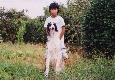 2004.7.29.tanuki1.jpg (95918 バイト)