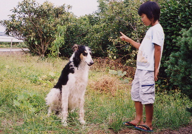 2004.7.29.tanuki4.jpg (100916 バイト)