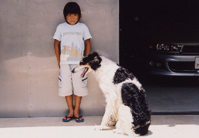 2004.7.29.tanuki5.jpg (43280 バイト)