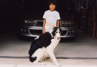 2004.7.29.tanuki6.jpg (43395 バイト)