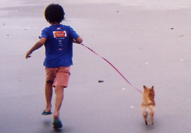 2004.8.1.mio4.jpg (35321 oCg)