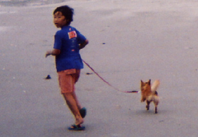 2004.8.1.mio5.jpg (35932 oCg)