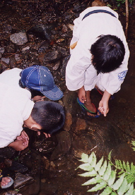 2004.8.21.karate_.gassyuku10.jpg (72780 バイト)