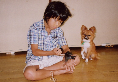 2004.8.30.mikan2.jpg (52641 oCg)