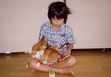 2004.8.30.mikan6.jpg (46693 oCg)