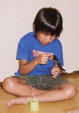 2004.8.5.mikan1.jpg (46335 oCg)