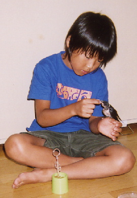 2004.8.5.mikan2.jpg (47581 oCg)