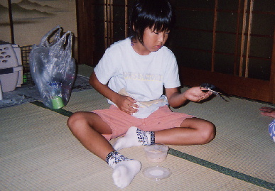 2004.8.7.`8.nagaragawa13.jpg (60414 oCg)