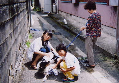 2004.8.7.tanuki8.jpg (84587 バイト)