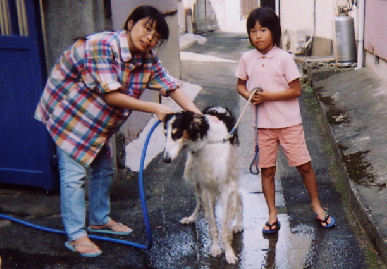 2004.9.23.tanuki1.jpg (69780 バイト)
