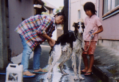 2004.9.23.tanuki2.jpg (63269 バイト)
