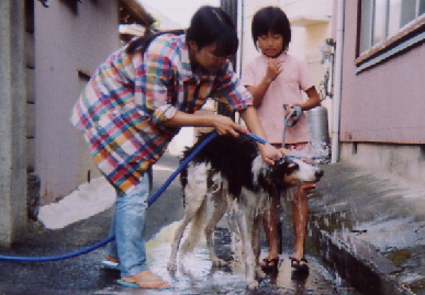 2004.9.23.tanuki4.jpg (64412 バイト)