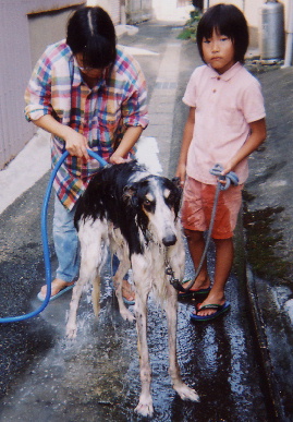 2004.9.23.tanuki6.jpg (74795 バイト)