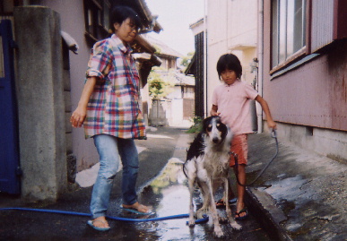 2004.9.23.tanuki7.jpg (62413 バイト)