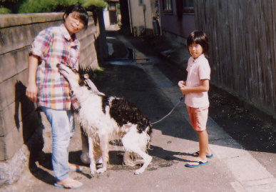 2004.9.23.tanuki8.jpg (61971 バイト)