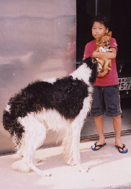 2004.9.24.tanuki&mio1.jpg (48669 バイト)