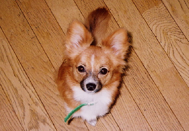 2004.9.7.mio1.jpg (70448 バイト)