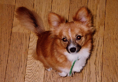 2004.9.7.mio2.jpg (64334 バイト)