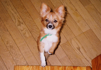 2004.9.7.mio3.jpg (58484 バイト)