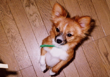 2004.9.7.mio4.jpg (61633 バイト)