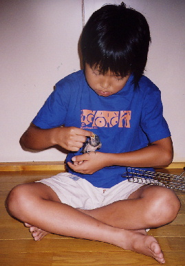 2004,7,25,mikan12.jpg (52347 oCg)