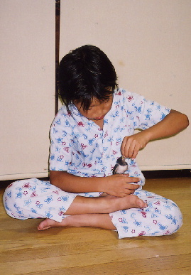 2004,7,25,mikan5.jpg (54757 oCg)