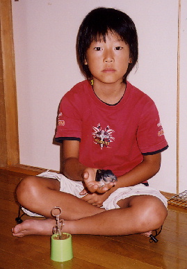 2004,7,25,mikan7.jpg (52077 oCg)
