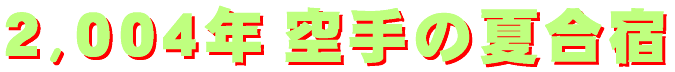 2004gassyuku-logo.gif (5241 バイト)