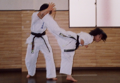 2005.1.16.moe9.jpg (45949 バイト)
