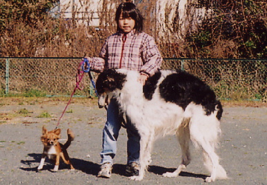 2005.1.22.moe1.jpg (81161 バイト)