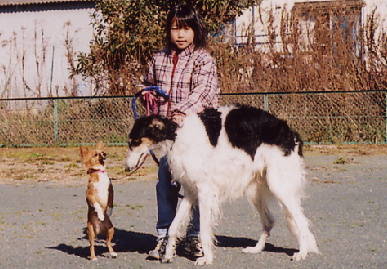 2005.1.22.moe2.jpg (82240 バイト)