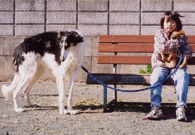 2005.1.22.moe3.jpg (79760 バイト)