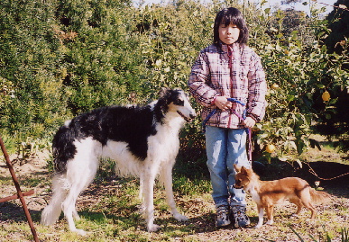 2005.1.22.moe4.jpg (111894 バイト)