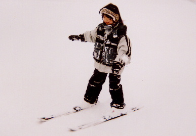 2005.2.22.akita2.jpg (31352 バイト)