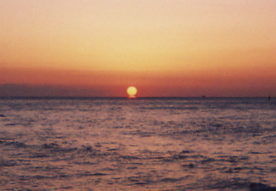 2005.2.6.kanchuugeiko2.jpg (37876 oCg)