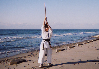 2005.2.6.kanchuugeiko6.jpg (54074 バイト)