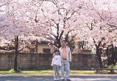 2005.4.9.sakura10.jpg (97170 oCg)
