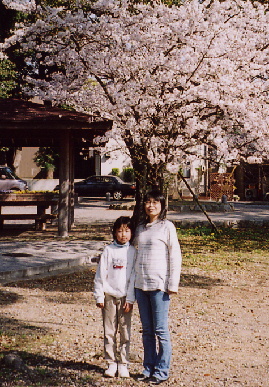 2005.4.9.sakura15.jpg (99855 oCg)